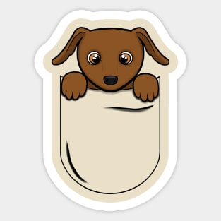 Chiweenie in a Pocket Sticker